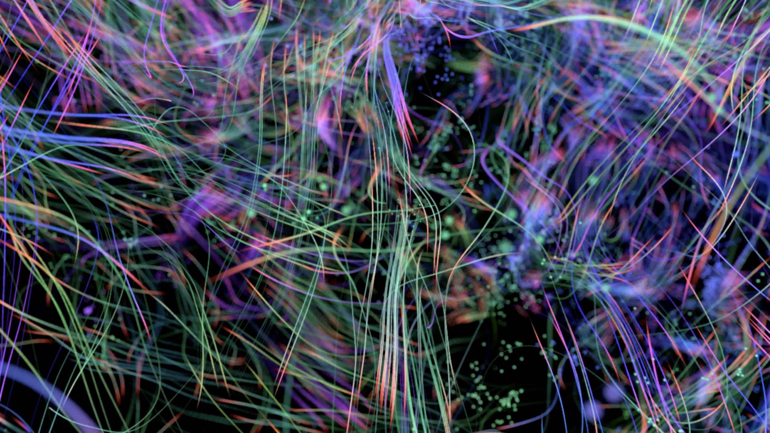Neural Pathways