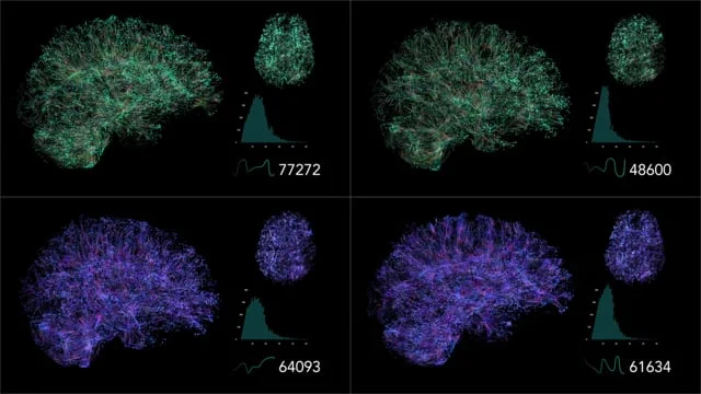 Neural Pathways — still
