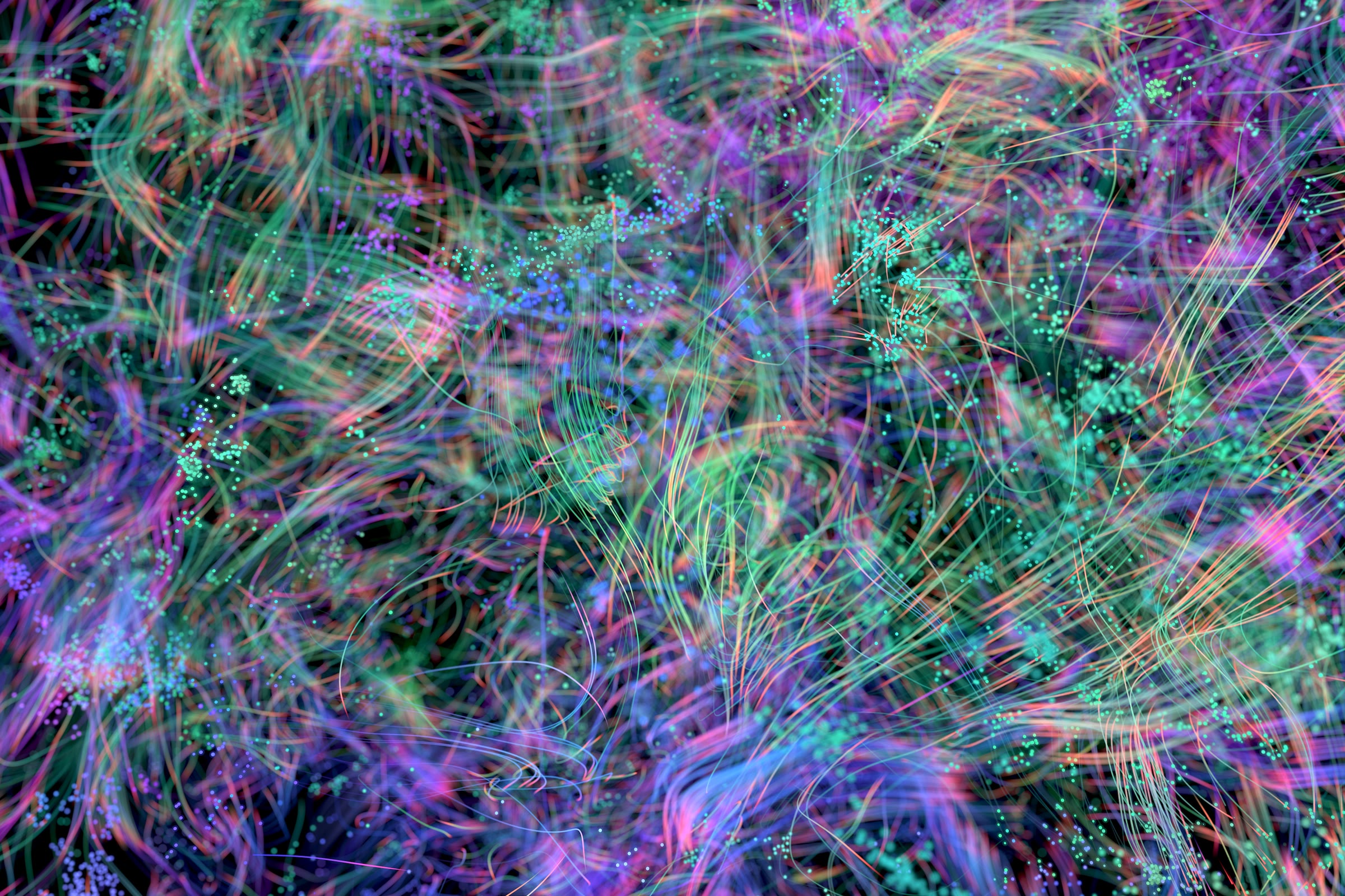 Neural Pathways