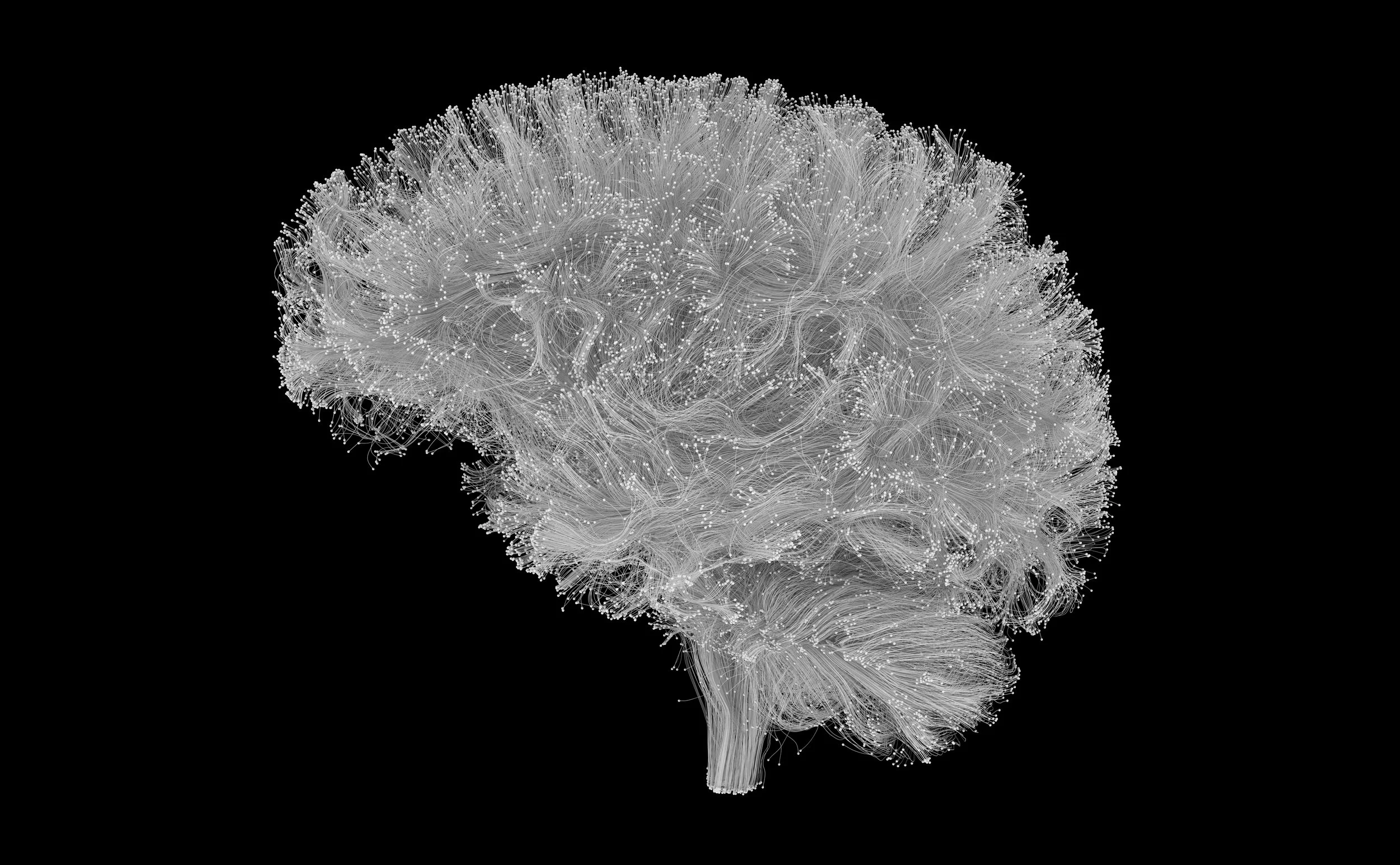 Neural Pathways — still