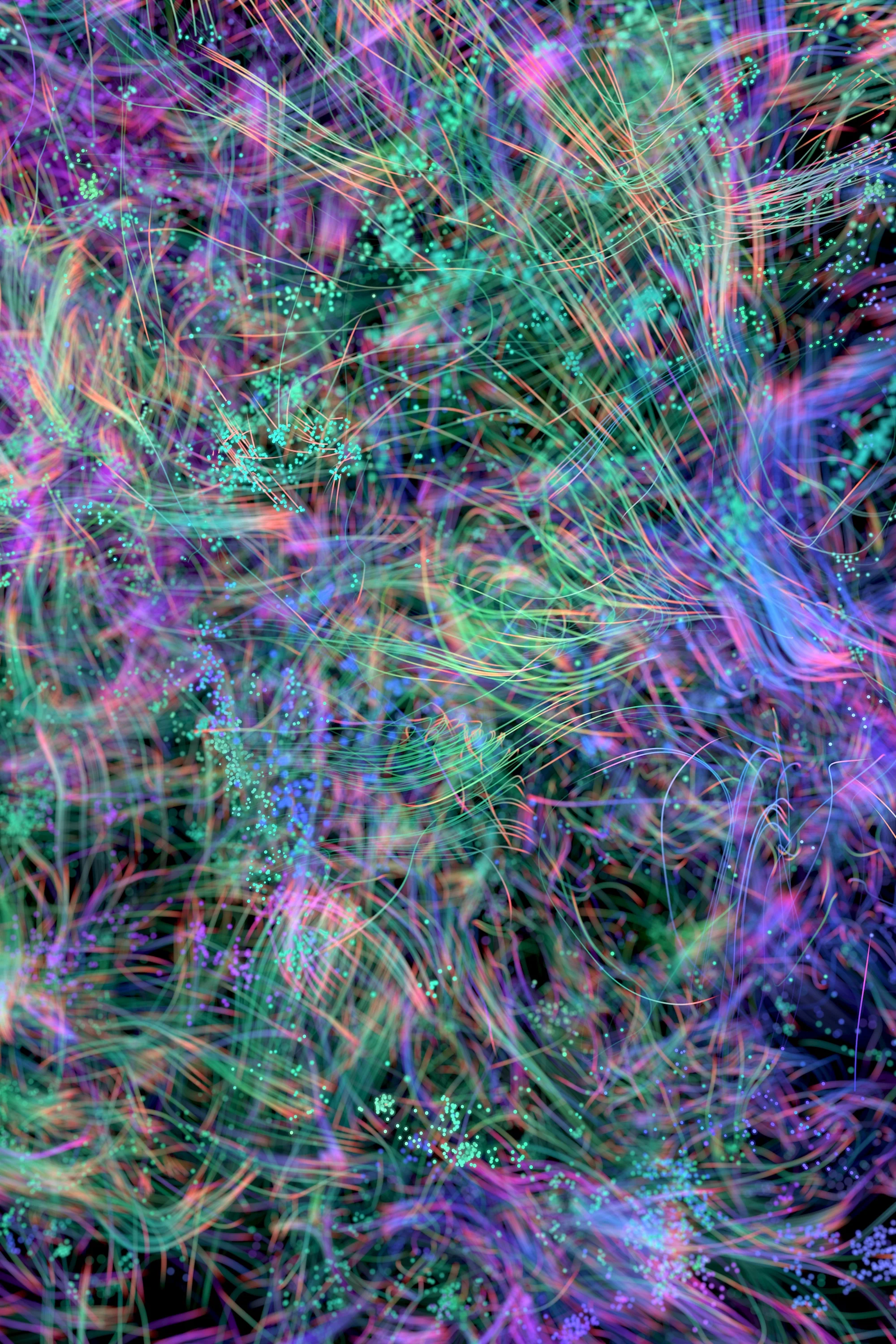 Neural Pathways — still