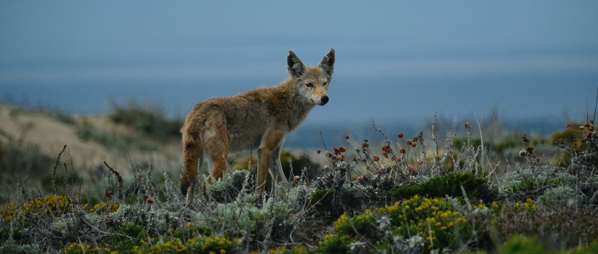Photograph by James Bartolozzi