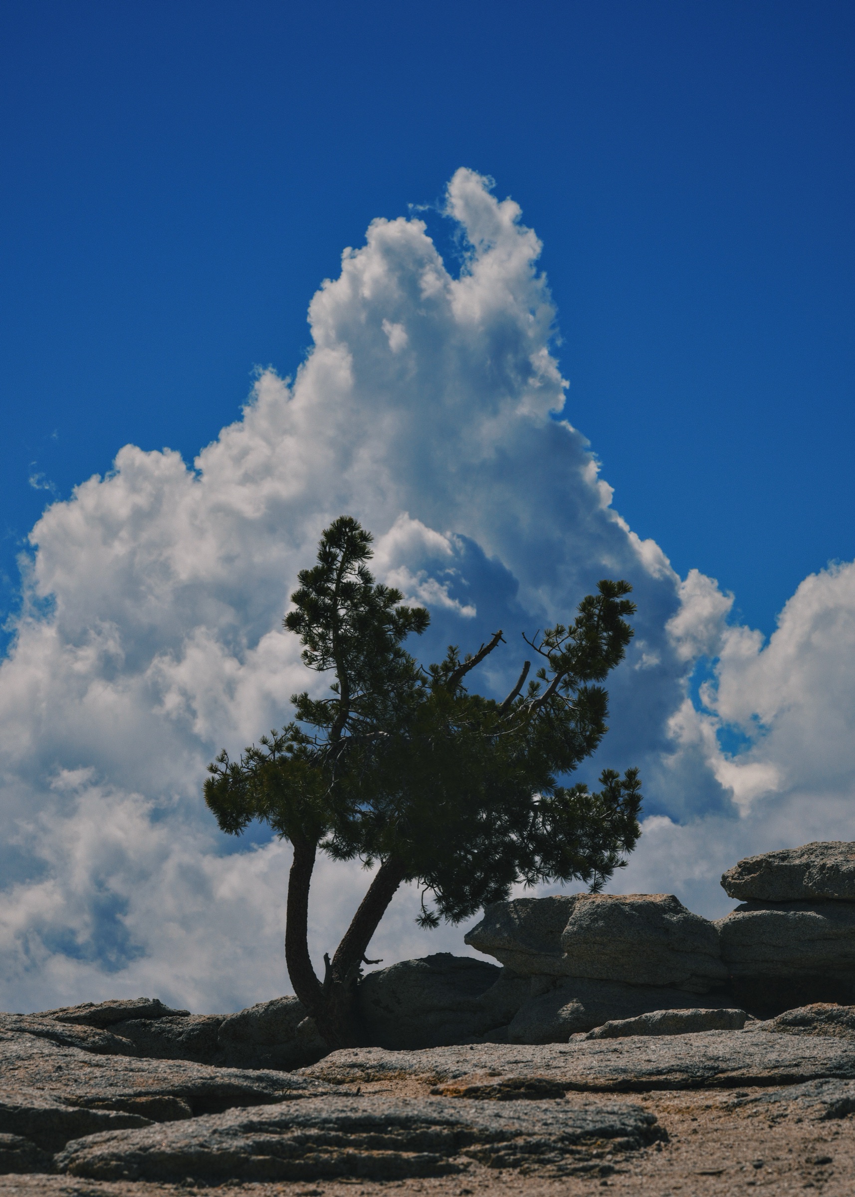 Photograph by James Bartolozzi