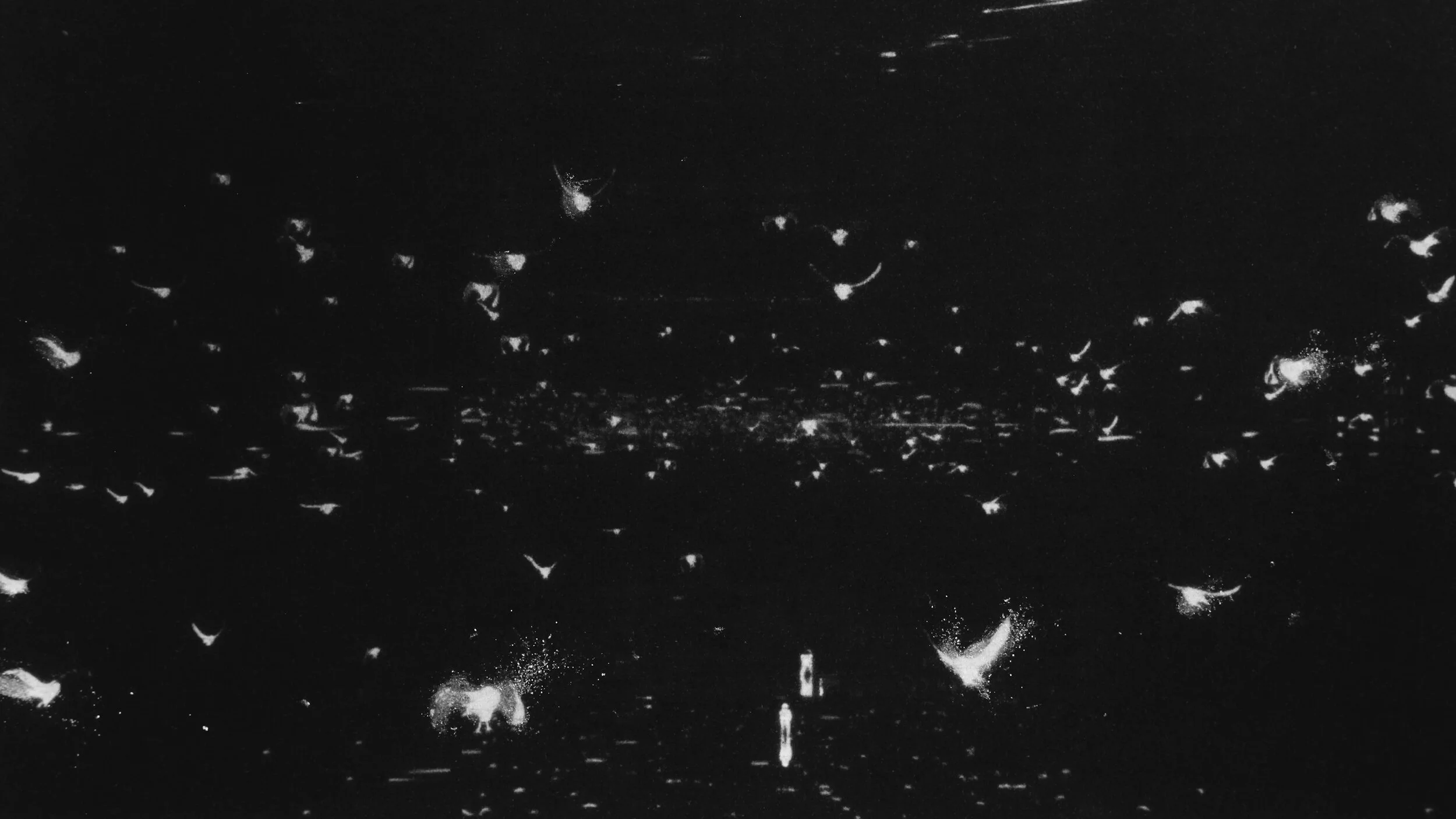 Thom Yorke - Last I Heard — still